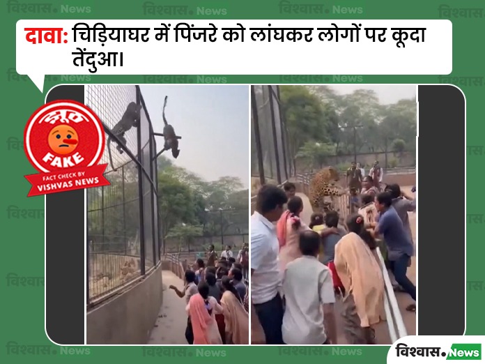 leopard zoo video, viral leopard attack video, AI generated viral video, Viral Video, zoo leopard video