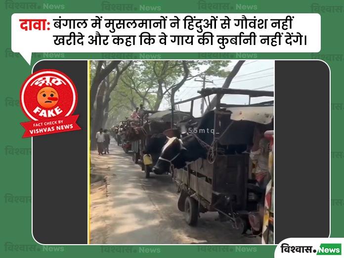 Bangladesh Cattle Market Video, Bangladesh animal market news, West Bengal News, West Bengal Viral Video, Bangladesh News, Bangladesh Viral Video