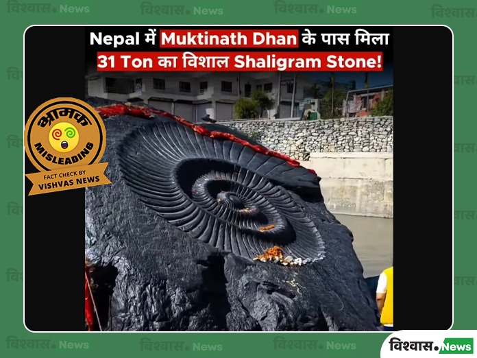 Nepal Shaligram Stone, Shaligram Stone Viral, Nepal Flood Viral Stone, Shaligram Stone Fact Check, Shaligram Rock Nepal, Nepal Viral Stone, Shaligram Stone News