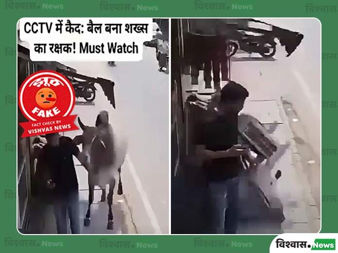 viral video of bull saving young man looking at mobile is AI generated